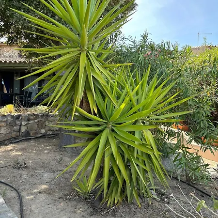105 Σπίτι διακοπών