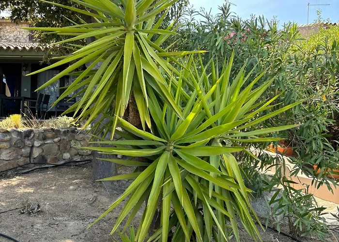 105 Prázdninový dům